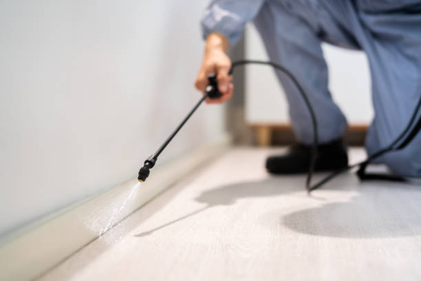 Professional exterminator conducting IPM assessment in Mammoth